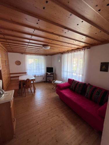 沃尔特湖畔韦尔登Apartments Roemerschlucht的客厅设有红色的沙发和木制天花板。