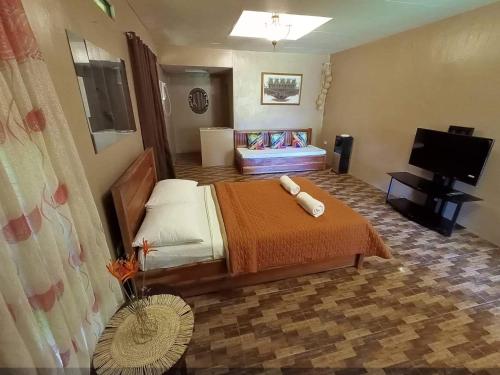 PagbilaoCasa de Cortijo的一间卧室配有一张床和一台平面电视