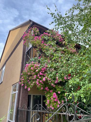 博斯特里Hotel Crocus的一座在阳台上装有粉红色花卉的建筑