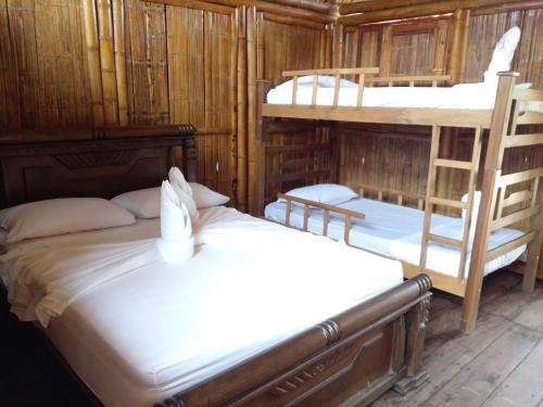 帕洛米诺Hostal La Finquita的一间卧室设有两张双层床和梯子