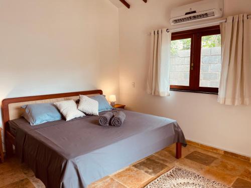 巴拉格兰德Chales Barra Grande的一间卧室配有一张带蓝色枕头的床和一扇窗户。