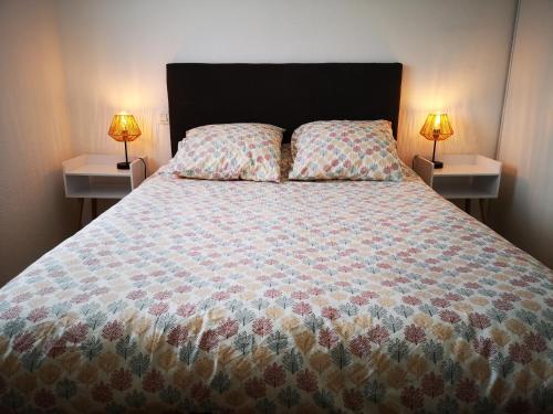 维勒纳夫多尔农Au Cocon d'Ornon - Top Location Bordeaux的一间卧室配有一张床,两台桌子上放着两盏灯