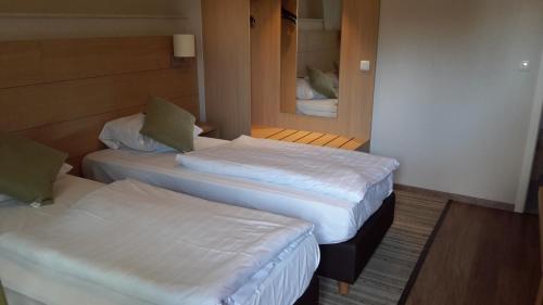 费尔登德尔海德克鲁格酒店的小型客房的两张床,配有镜子