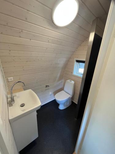 奥克斯伯尔SportsPark Blaavandshuk Resort的一间带卫生间和水槽的小浴室