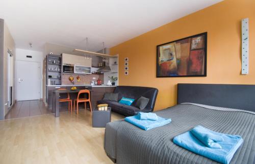 布达佩斯卡内利亚公寓的一间卧室配有一张床和一张沙发,还设有一间厨房