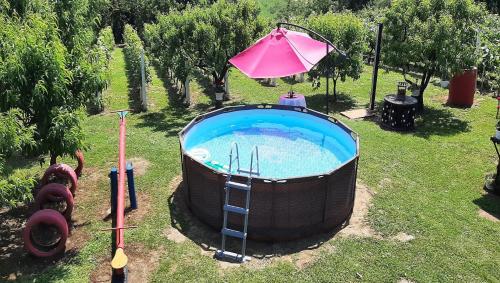 Sirova KatalenaApartment Amigo的庭院旁的带粉红色遮阳伞的热水浴池