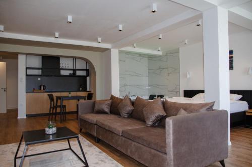 普里什蒂纳Swiss Apartments Prishtina的带沙发的客厅和卧室