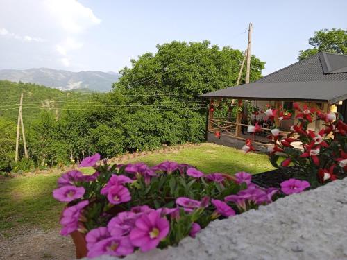 RaškaVujanac vikend kuća的鲜花盛开的花园及凉亭