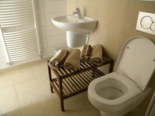 马伦-凯塞尔凯塞尔特霍夫住宿加早餐旅馆的一间带卫生间和水槽的浴室