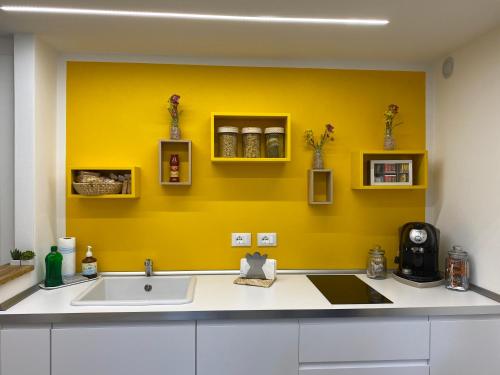 博洛尼亚Silvano Cozy Loft的厨房设有水槽和黄色的墙壁