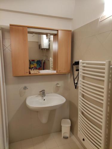 马里尔伊瓦Doss della Pesa Apartment - CIPAT 22114的一间带水槽和镜子的浴室
