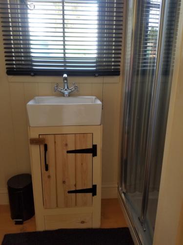巴拉Rhydydefaid Cwt Clyd - Cosy Hut的一间带水槽和淋浴的浴室