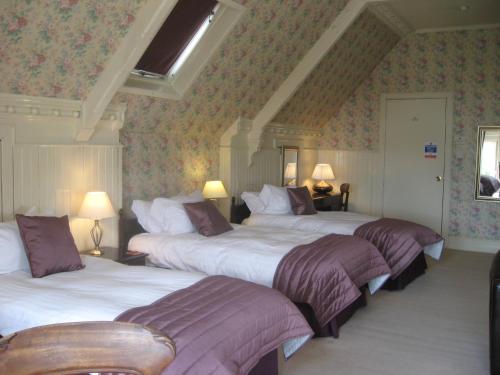 邓迪Shaftesbury Hotel Dundee的一间卧室配有三张床和紫色床单