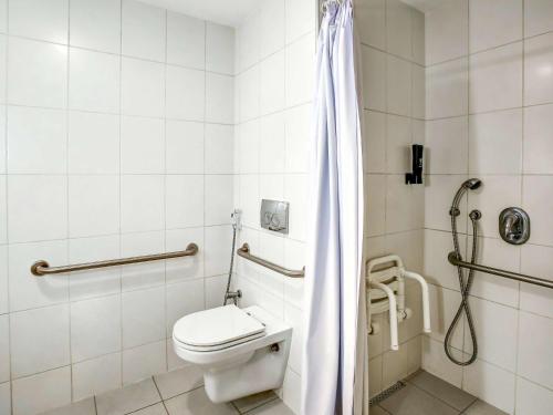 里约热内卢里约博塔弗戈宜必思酒店的一间带卫生间和淋浴的浴室