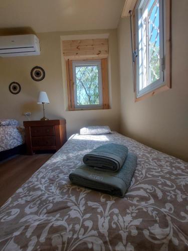 米茨佩·拉蒙Desert Tribe的一间卧室配有一张床铺,床上有毯子