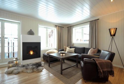 耶卢Havsdalsgrenda Geilo Apartments的带沙发和壁炉的客厅