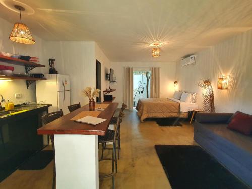 戈亚斯州上帕莱索Morada dos Saguis的一间带厨房的客厅和一间带一张床的卧室