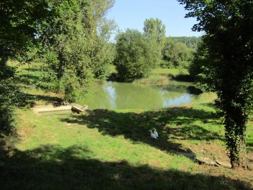 CaillavetArtémis的草地上两鸟池塘的景色