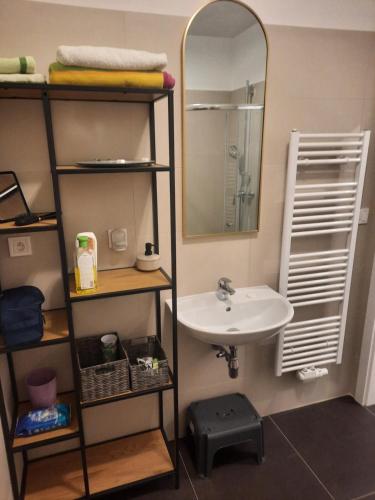 玛丽亚温泉Apartmán Kurt的一间带水槽和镜子的浴室