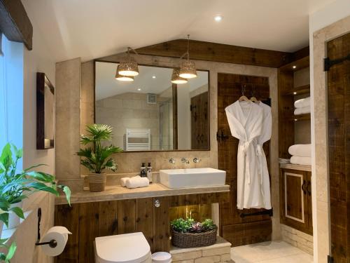 奇平诺顿Dovecote Cotswold Cottages的一间带水槽、卫生间和镜子的浴室