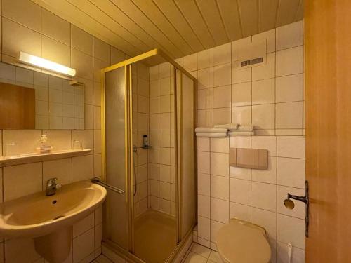 WindorfPension Memminger的带淋浴、盥洗盆和卫生间的浴室