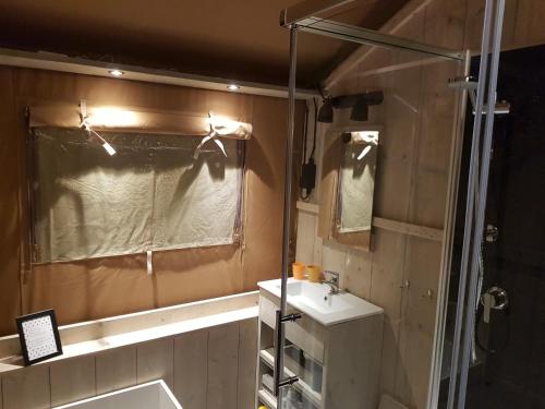吕洛Safaritent Lodge 5的一间带水槽和淋浴的小浴室