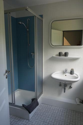 比斯平根萨克森州霍夫酒店的带淋浴、盥洗盆和镜子的浴室