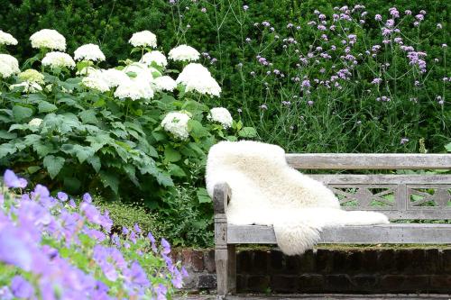 芬洛bb-jonashome的花 ⁇ 花园的长凳