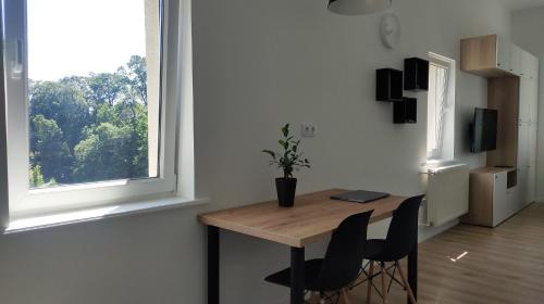 索波特Studio 4 Piętro II的客房设有桌椅和窗户。