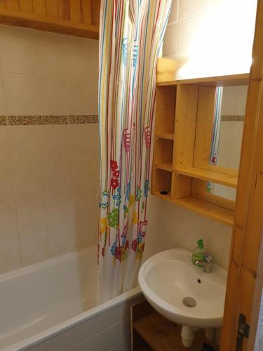 美贝尔Résidence Alpinéa Mottaret, 2 à 4 pers的一间带水槽和淋浴帘的浴室