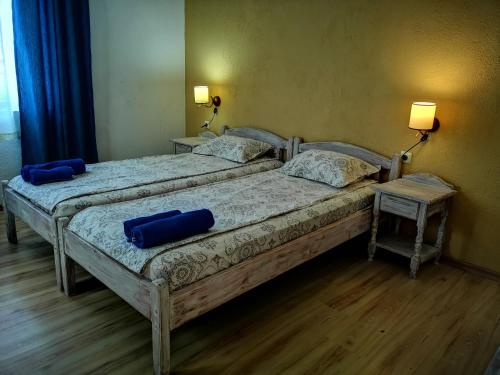 普里莫尔斯科Paunovi Guest House的卧室内的两张床,配有蓝色枕头