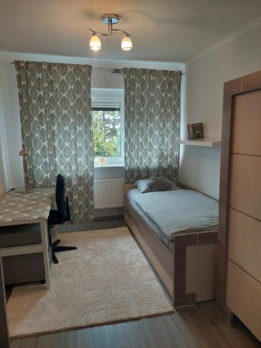 波兹南Christiana Andersena - apartamenty的一间卧室配有一张床、一张书桌和一个窗户。