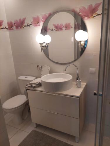 波兹南Christiana Andersena - apartamenty的一间带水槽、镜子和卫生间的浴室