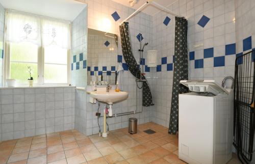 SliteCozy holiday home located on Gotland的一间带水槽和淋浴的浴室