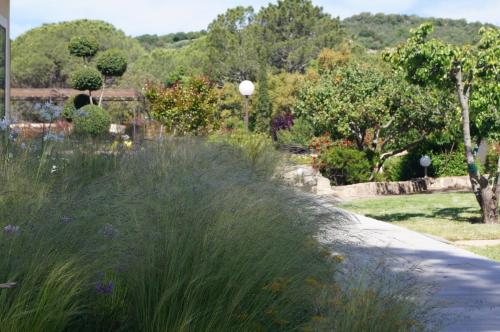 维琪奥港Les Jardins De Santa Giulia - Charmante chambre d'hôte 1的院子中种有高大的草和花的花园