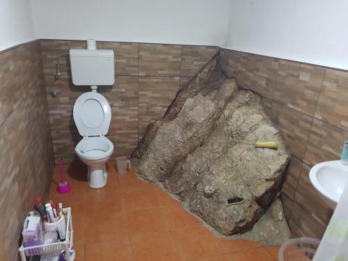 科尼茨Potok kuca sa bazenom的浴室设有靠近卫生间的大岩石