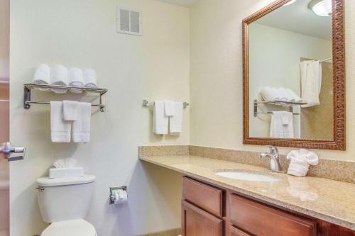 MainStay Suites Texas Medical Center-Reliant Park的一间浴室