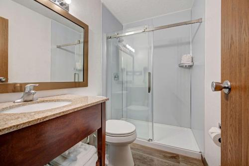 科尔特斯Quality Inn near Mesa Verde的带淋浴、卫生间和盥洗盆的浴室