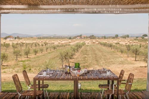 奥尔贝泰洛Casale Oliveta的一张带椅子的餐桌,享有田野的景色