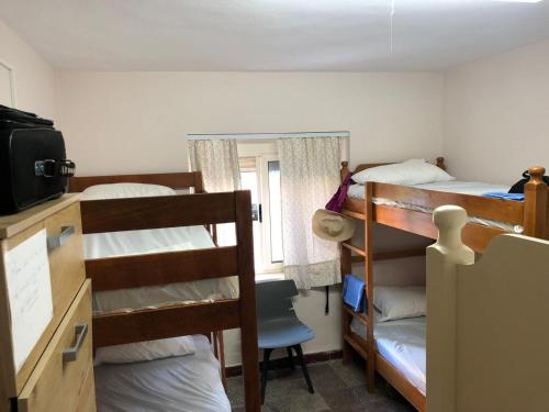 地拉那Sina Hostel的客房设有两张双层床和一扇窗户。