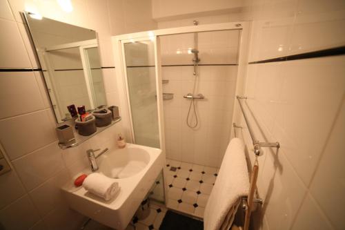 乌得勒支辛厄尔住宿加早餐旅馆的带淋浴和盥洗盆的白色浴室