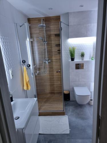 耶莱尼亚古拉Apartament Luxusowe Karkonosze的带淋浴、盥洗盆和卫生间的浴室