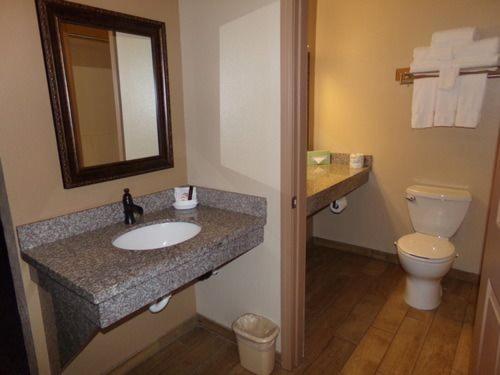 帕克伍德考利茨河汽车旅馆的一间带水槽、卫生间和镜子的浴室