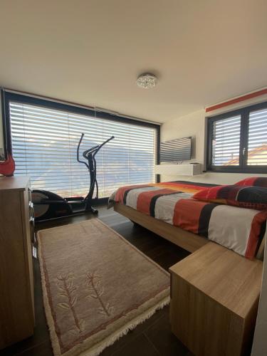 克莱恩 蒙塔纳Villa luxueuse à 10 minutes de Crans-Montana的一间卧室设有两张床和窗户。