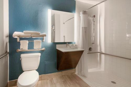 阿斯维尔机场克拉丽奥酒店的一间浴室