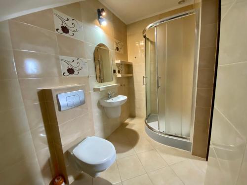奥斯特罗沃Pokoje gościnne Sandra的浴室配有卫生间、淋浴和盥洗盆。
