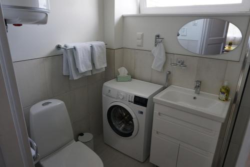 凯尔德拉Sireli külaliskorter Kärdlas的小型浴室设有洗衣机和水槽。