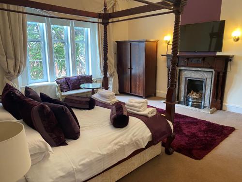 汉密尔顿阿翁桥酒店的一间卧室设有一张华盖床和壁炉