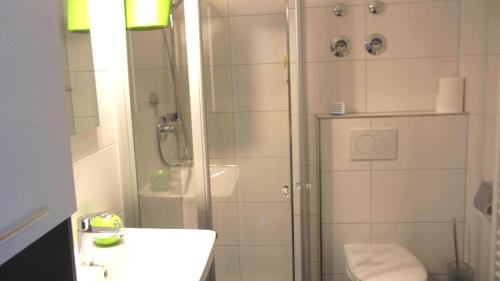上施陶芬FeWo "Hündleblick" Oberstaufen/Steibis的带淋浴、卫生间和盥洗盆的浴室