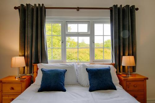 霍尔斯沃西Leworthy Farmhouse Bed and Breakfast的窗前带两个蓝色枕头的床